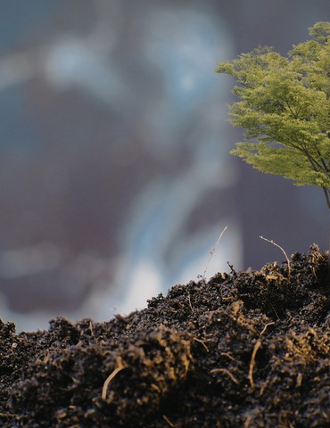 Jardinage zéro déchets - Tous au compost