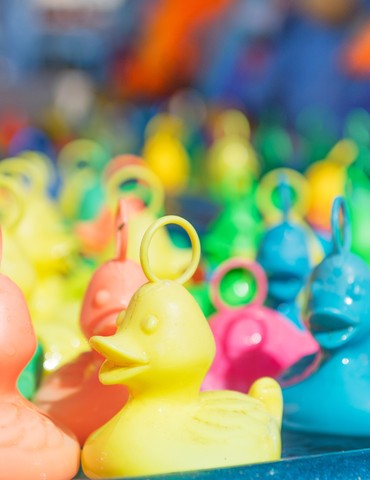 Pêche aux canards géante Linae