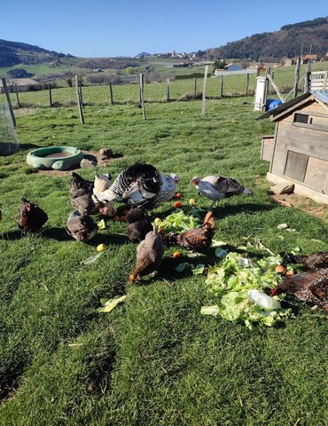 Stage petit fermier - Mini ferme de Navas