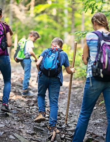 Marche des belvederes