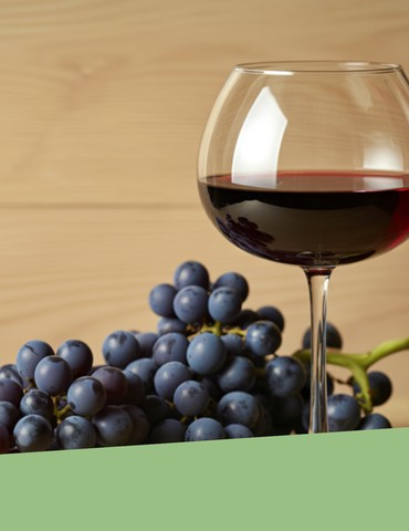 Dégustation de vins avec "Epicur Yann" & Assemblage