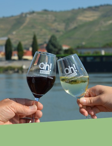 Apéro sur l'eau "Rhône Nord vs. Rhône Sud" - les Canotiers et Terres de Syrah