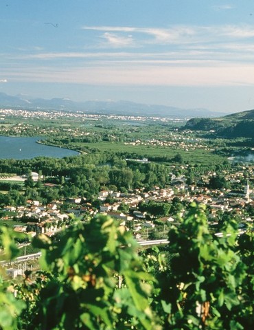 La Belle Étoile de Saint-Joseph