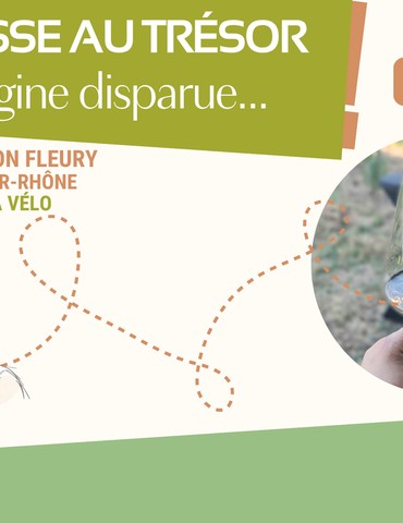 Chasse au trésor : L'Origine disparue - Luyton Fleury