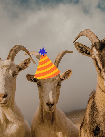 The tighters + Vanupié - Festicornes