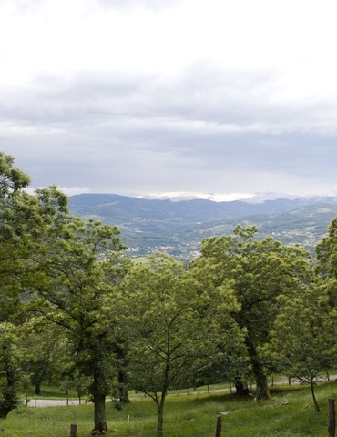 Visite de la châtaigneraie et de l'atelier de transformation