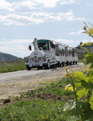 Apéro Quizz - Le petit train des vignes