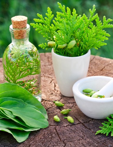 Atelier Naturopathie