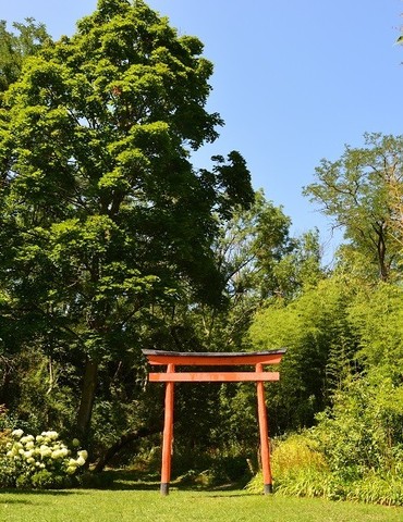 Nocturne au jardin zen