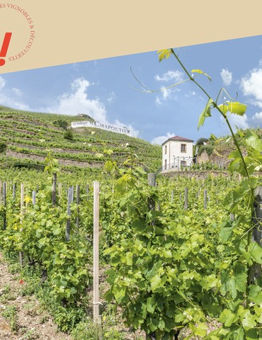 Découverte du vignoble en vélo à assistance électrique - Maison M. CHAPOUTIER