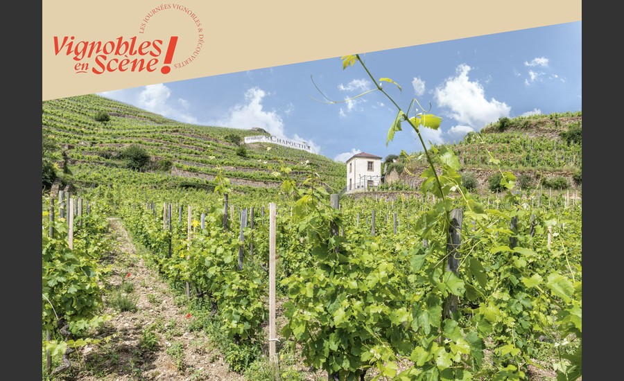 Vignoble de la Maison M.CHAPOUTIER