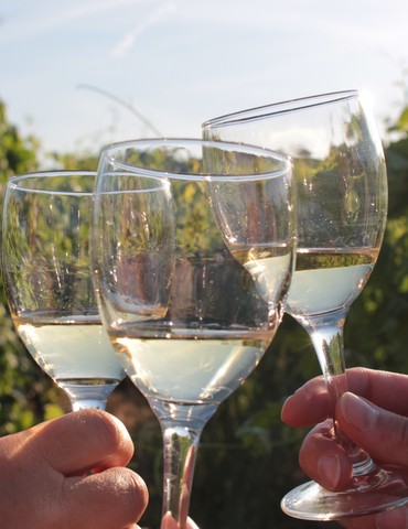 Atelier Création de cocktail et massage dans les vignes