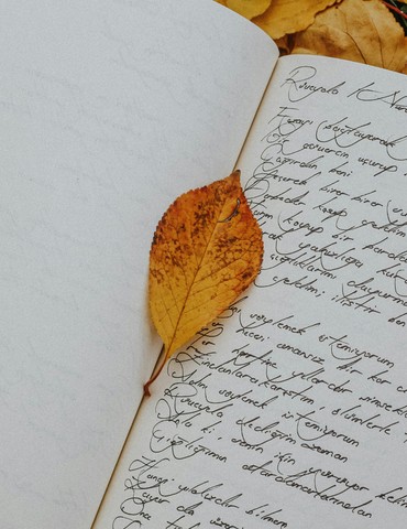 Atelier carnet de voyages - Partir en Livre