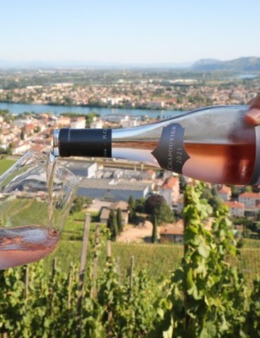 Atelier Vin & Barbecue: Spécial 14 juillet - M.CHAPOUTIER