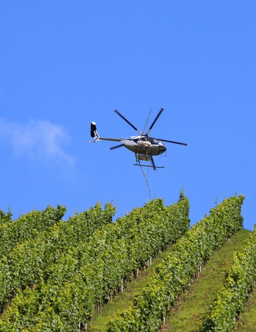 Vol en Hélicoptère au dessus des vignes - Jet Systems Hélicoptères