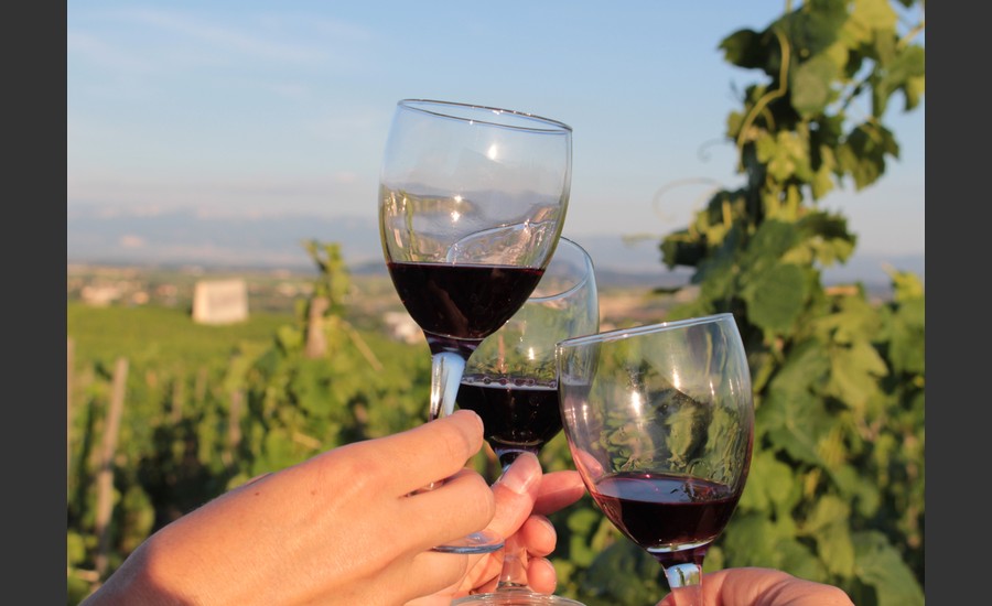 Vin - porte ouverte