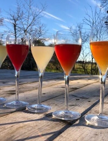 Les ateliers de fermentations, découverte de la fermentation - Les Graines de Carène
