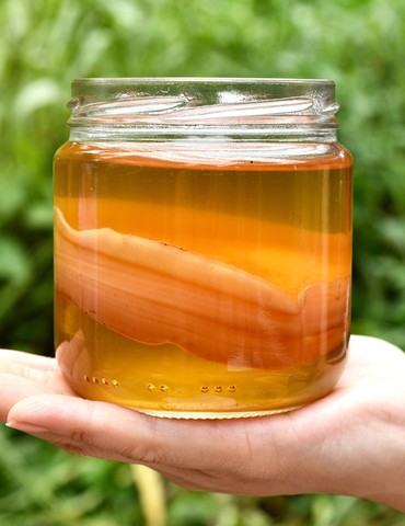 Les ateliers de fermentations autour du Kombucha - Les Graines de Carène